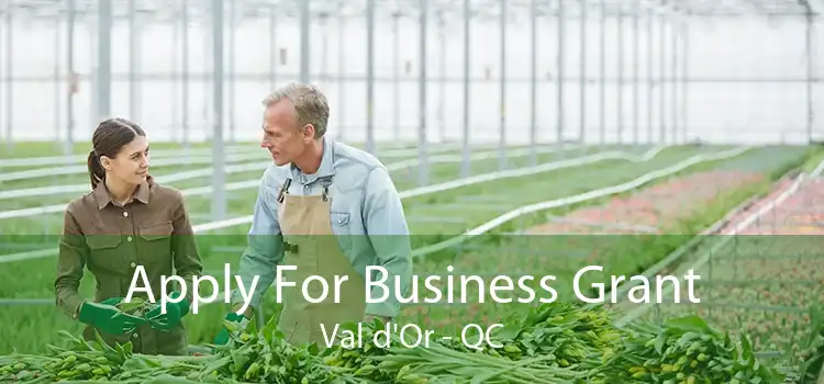 Apply For Business Grant Val d'Or - QC